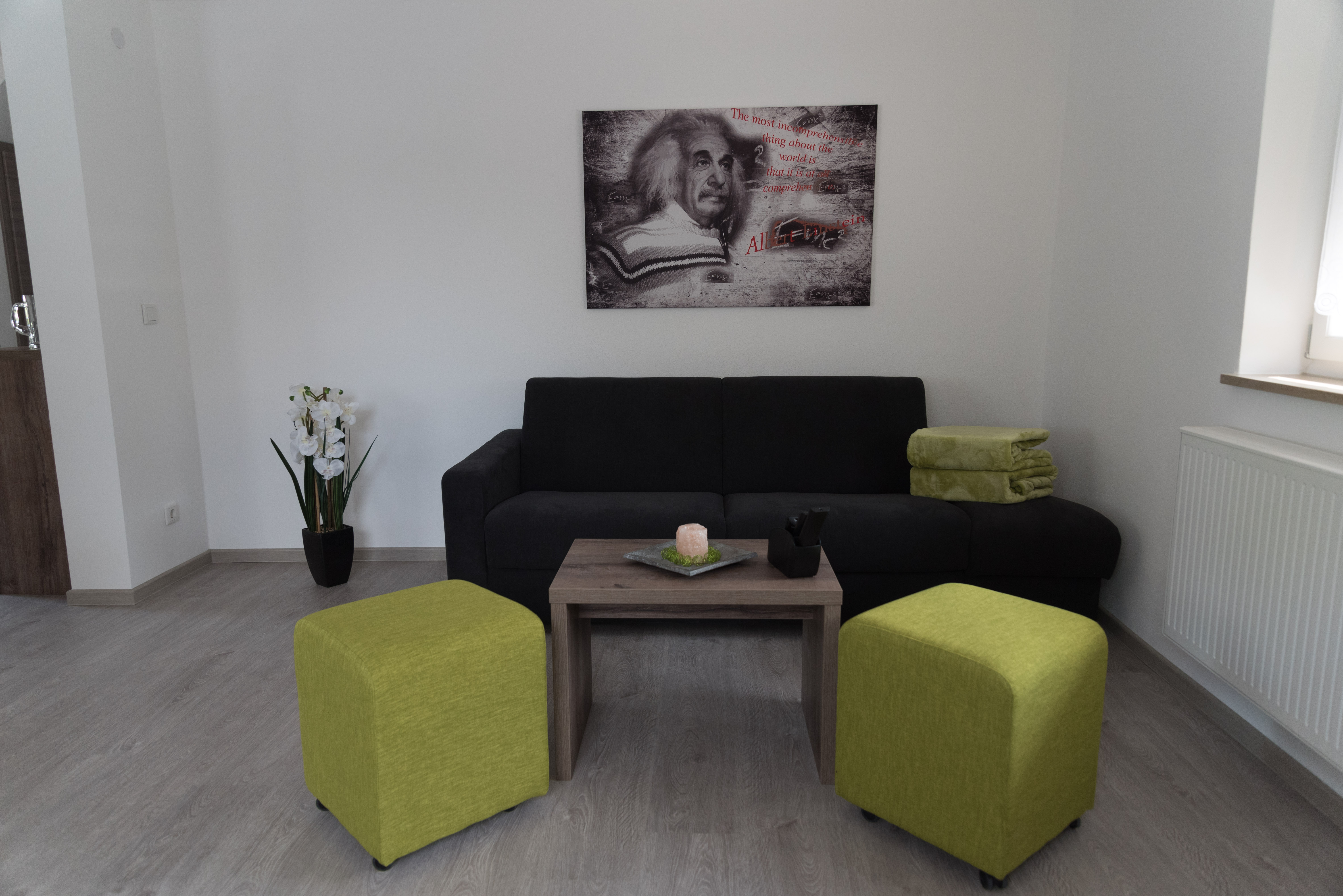 wohnung-einstein